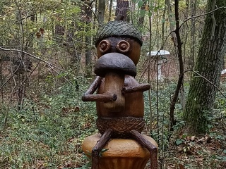 Ludziki z żołędzi